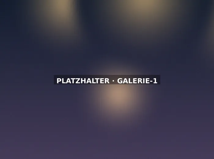 Solistin während des Konzerts