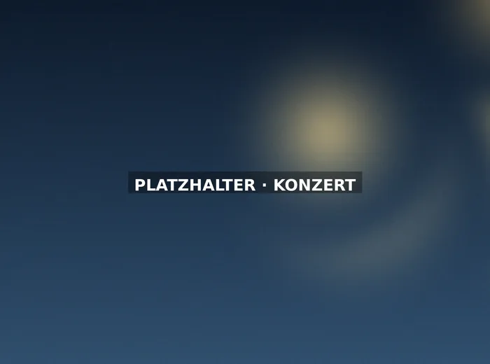 Die Band auf der Bühne im Konzertsaal