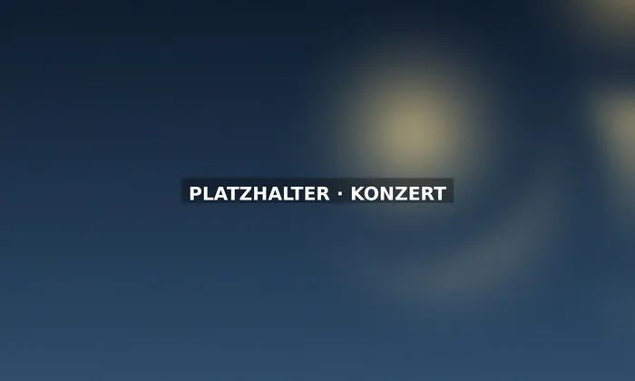 Die Band auf der Bühne im Konzertsaal
